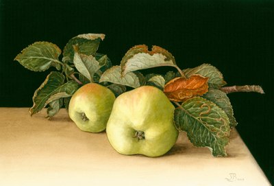 Bramleys by Jenny Barron