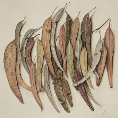 Eucalyptus Leaves, 2004 by Jenny Barron