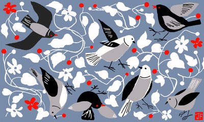 Birdy by Jenny Frean