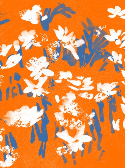 Mandarin Meadow by Jenny Frean
