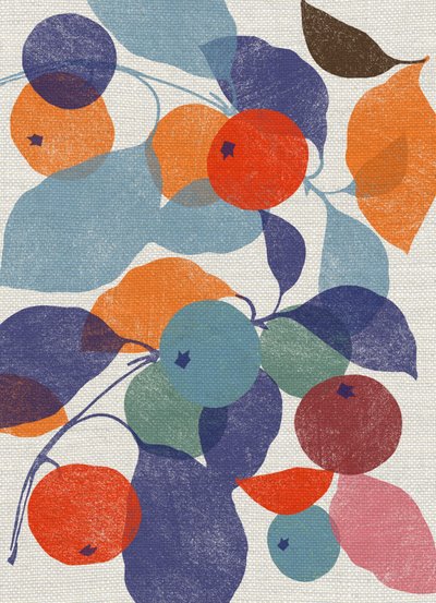 Printed Apples by Jenny Frean
