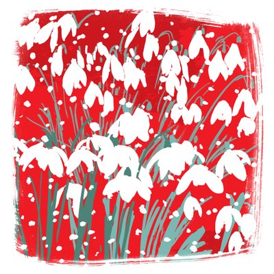 Snowdrops by Jenny Frean