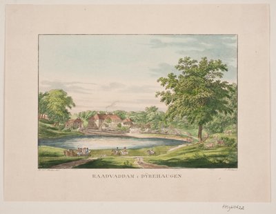 Rådvad Dam in Dyrehaven by Jens Holm