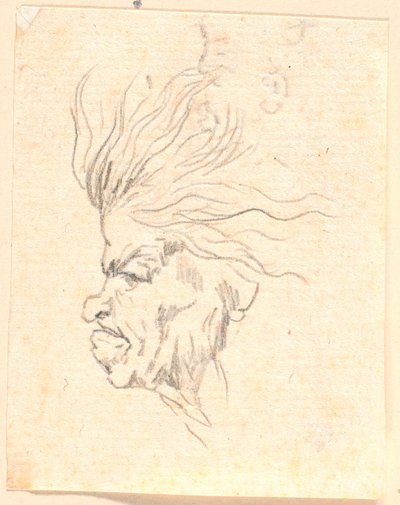 A Medusa-like Woman