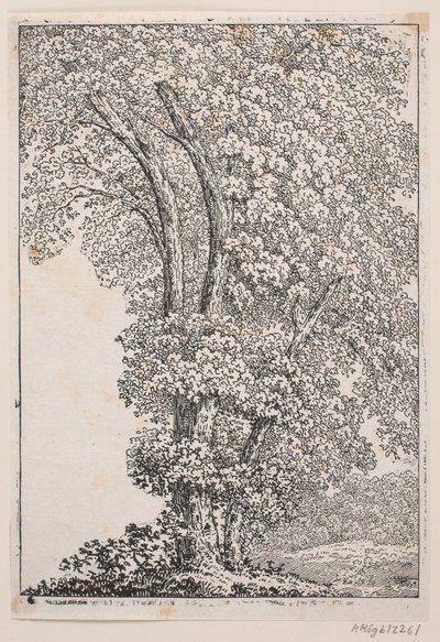 Illustration for Oehlenschläger