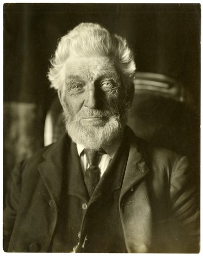 Mr. Messenger, Bee Man by Jessie Tarbox Beals
