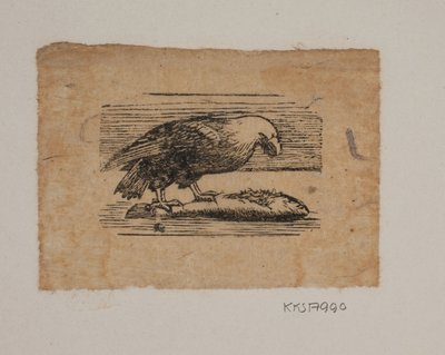 An Eagle by Joakim Frederik Skovgaard