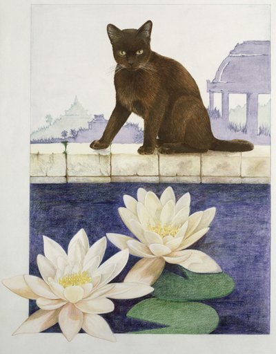 Burmese by Joan Freestone