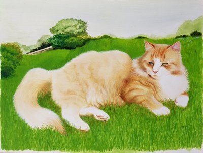 Ginger Cat in Field by Joan Freestone