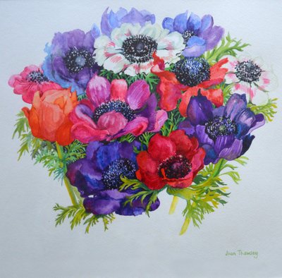 Anemones: Red, White, Pink and Purple by Joan Thewsey