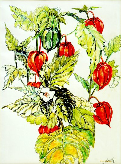 Chinese Lantern Spray, 2005 by Joan Thewsey