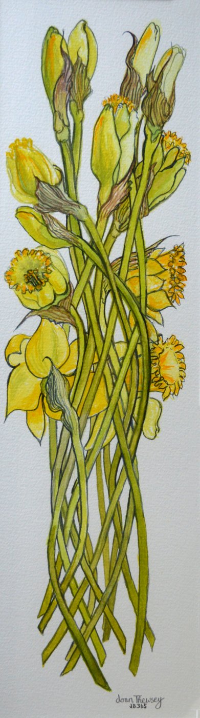 Daffodils, 2008 by Joan Thewsey