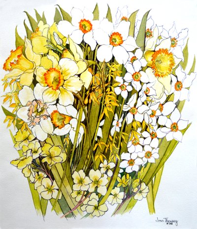 Daffodils, Narcissus, Forsythia and Primroses by Joan Thewsey