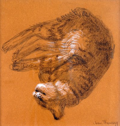Sleeping Tabby Cat, 2005 by Joan Thewsey