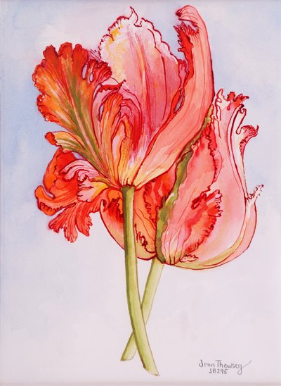 Two Frilled Tulips by Joan Thewsey