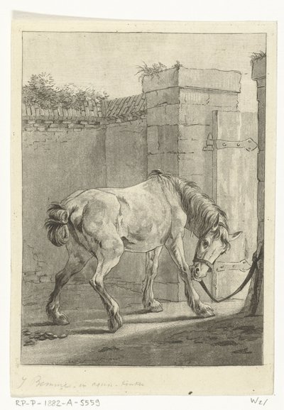 A Horse Tied to a Post by Joannes Bemme