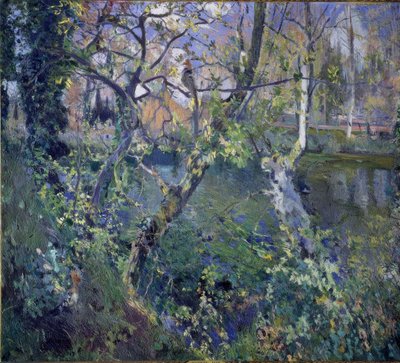 The Rain of Moguda by Joaquim Mir i Trinxet
