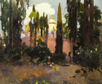 Landscape by Joaquim Mir i Trinxet