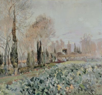 Landscape by Joaquim Mir i Trinxet