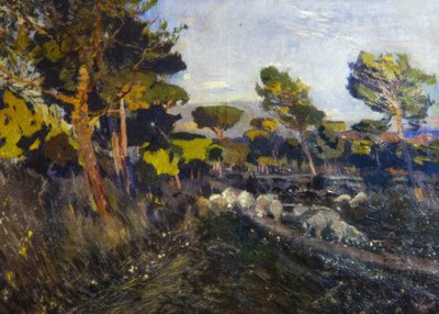 Untitled by Joaquim Mir i Trinxet