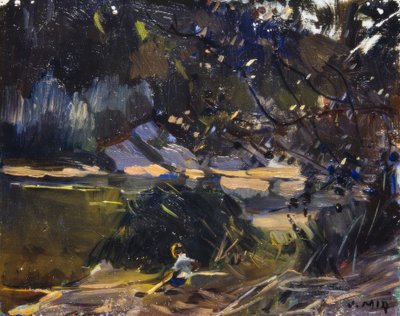 Undergrowth by Joaquim Mir i Trinxet