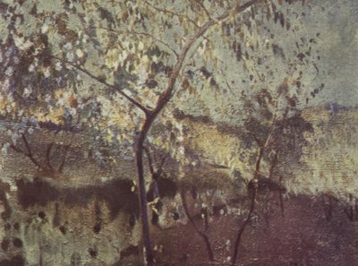 From the Countryside by Joaquim Mir i Trinxet
