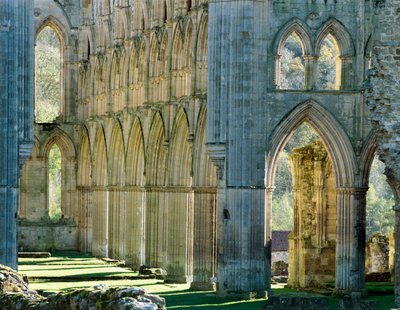 Rievaulx Abbey, c1990-2010 by Joe Cornish