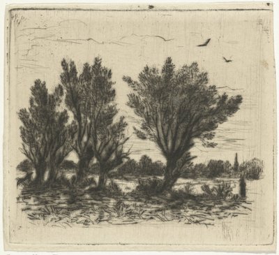 Row of Willows by Johan Frederik Croockewit