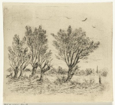 Row of Willows by Johan Frederik Croockewit
