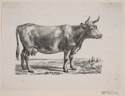 A Cow by Johan Frederik Rosenstand