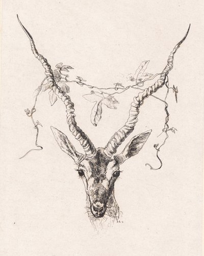 Antelope Head by Johan Thomas Lundbye