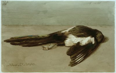 A Dead Magpie by Johan Thomas Lundbye