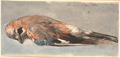 A Dead Jay by Johan Thomas Lundbye