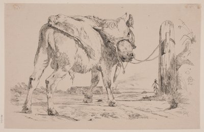 A Bull Calf Tied to a Fence Post by Johan Thomas Lundbye