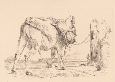 A Bull Calf Tied to a Hitching Post by Johan Thomas Lundbye