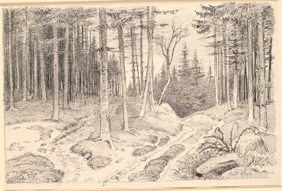 Hollow Road through a Pine Forest by Johan Thomas Lundbye
