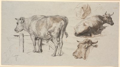 Cattle Studies. Left: The Bull Grev Geert by Johan Thomas Lundbye