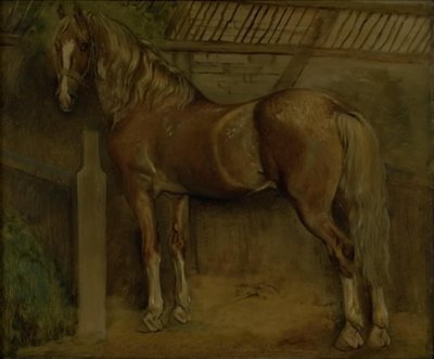 Sixteen-Year-Old Stallion of the Knabstrup Breed by Johan Thomas Lundbye