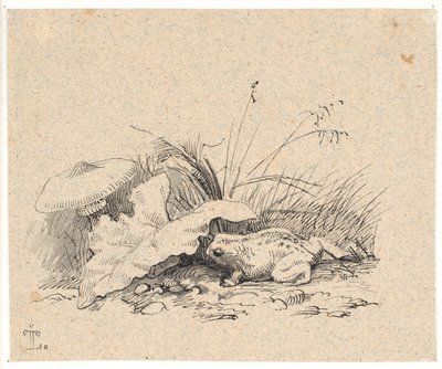 The Common Toad by Johan Thomas Lundbye