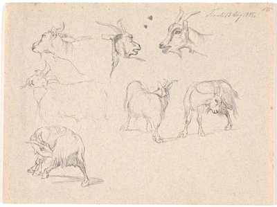 Studies of Goats by Johan Thomas Lundbye