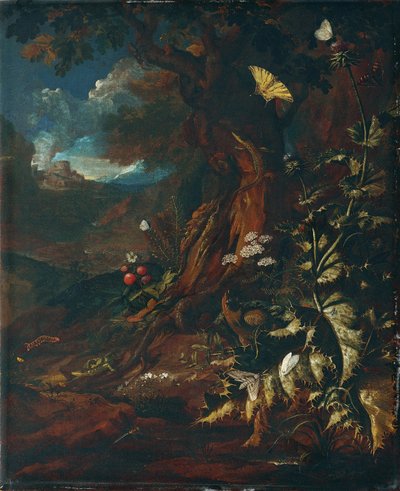 Landscape with Reptiles and Insects (I) by Johann Adalbert Angermayer