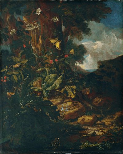 Landscape with Reptiles and Insects (II) by Johann Adalbert Angermayer