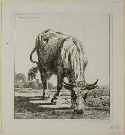 Cow Drinking, from Die Zweite Thierfolge by Johann Christian Reinhart