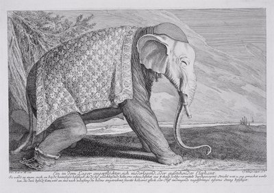 An Elephant by Johann Elias Ridinger or Riedinger