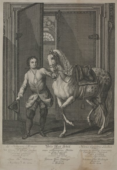 New School of Horsemanship by Johann Elias Ridinger
