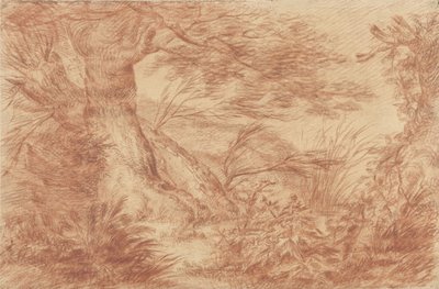 Plants and Grasses by Old Willow Trunks by Johann Elias Ridinger