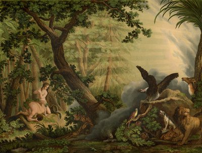 The Fall by Johann Elias Ridinger or Riedinger