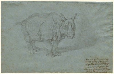 The Rhinoceros Miss Clara by Johann Elias Ridinger