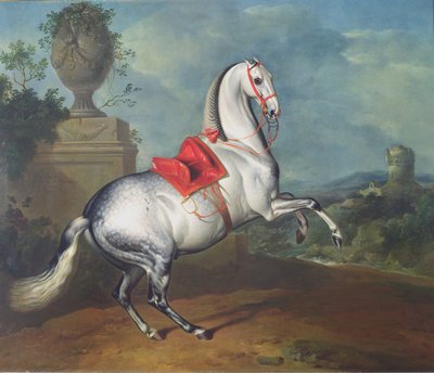 The Dapple Grey Galloping by Johann Georg Hamilton