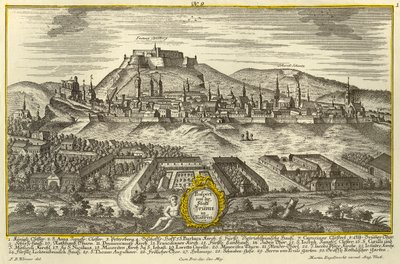 Brno by Johann Georg Ringlin
